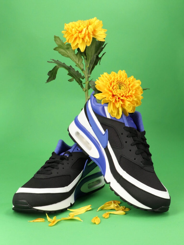 still life seasonal flowers product photo studio-360