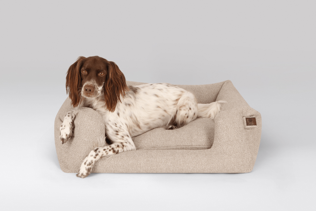 packshot dog basket case