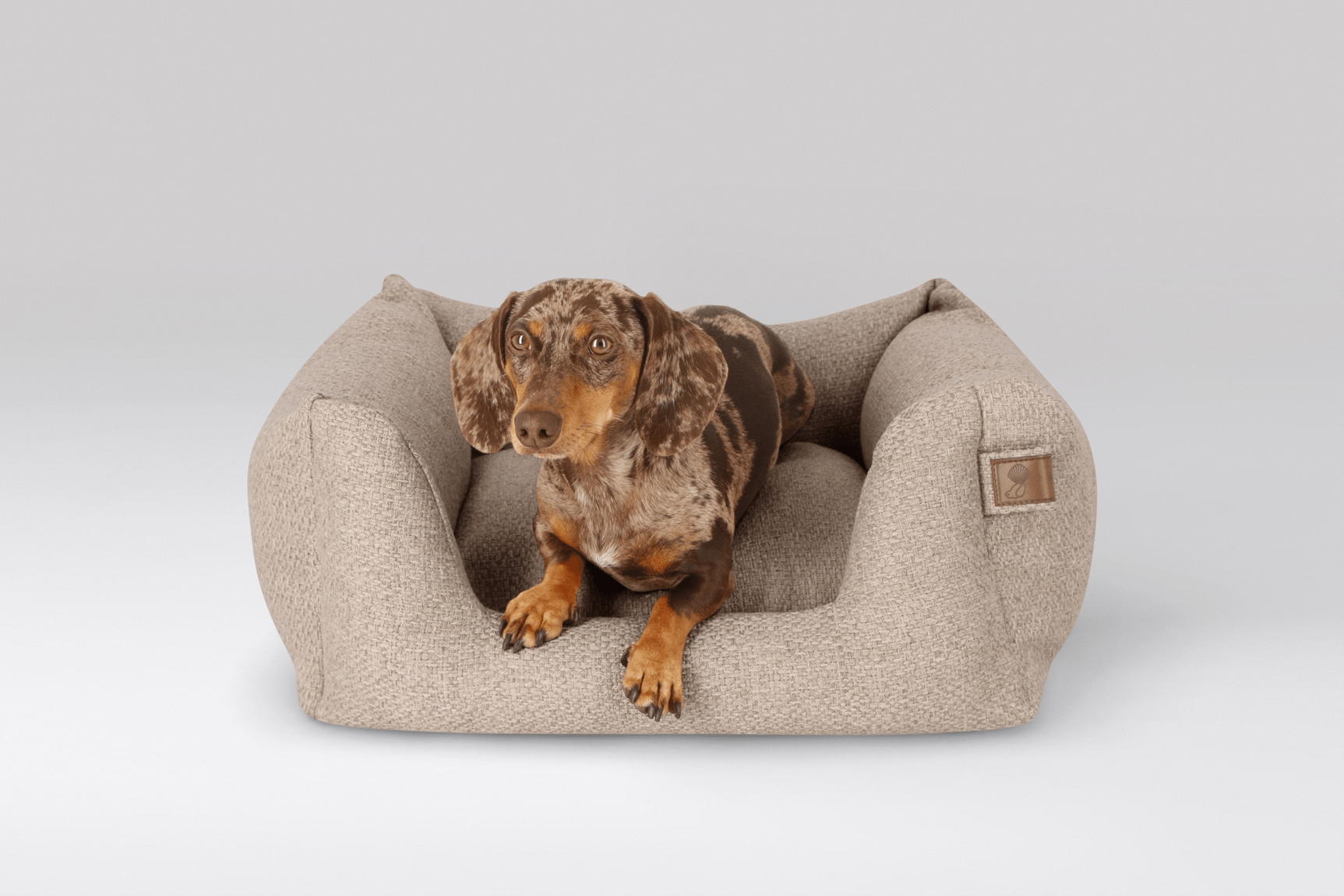 packshot dog basket case